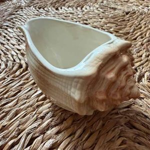 Conch Pouring Vessel USA