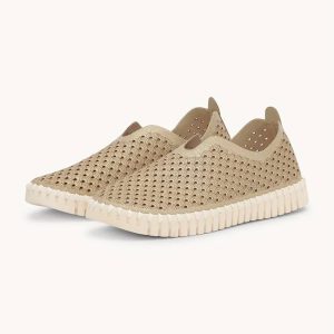 TULIP3223-Platin-Pearled-Ivory